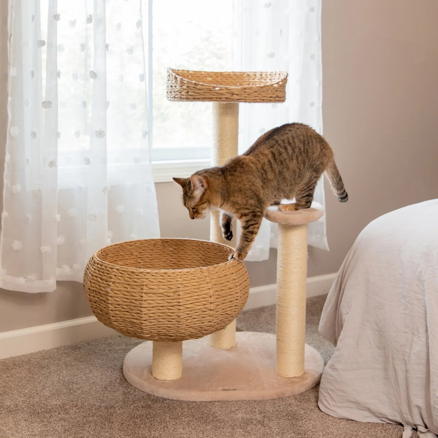 Cat Towers