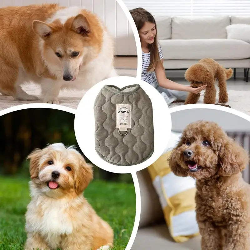 Winter Pet Coat Clothes for Cold Weather Clothing Warm Dog Clothes with Built in Harness Hole Pet Apparel for Small Dogs Cats