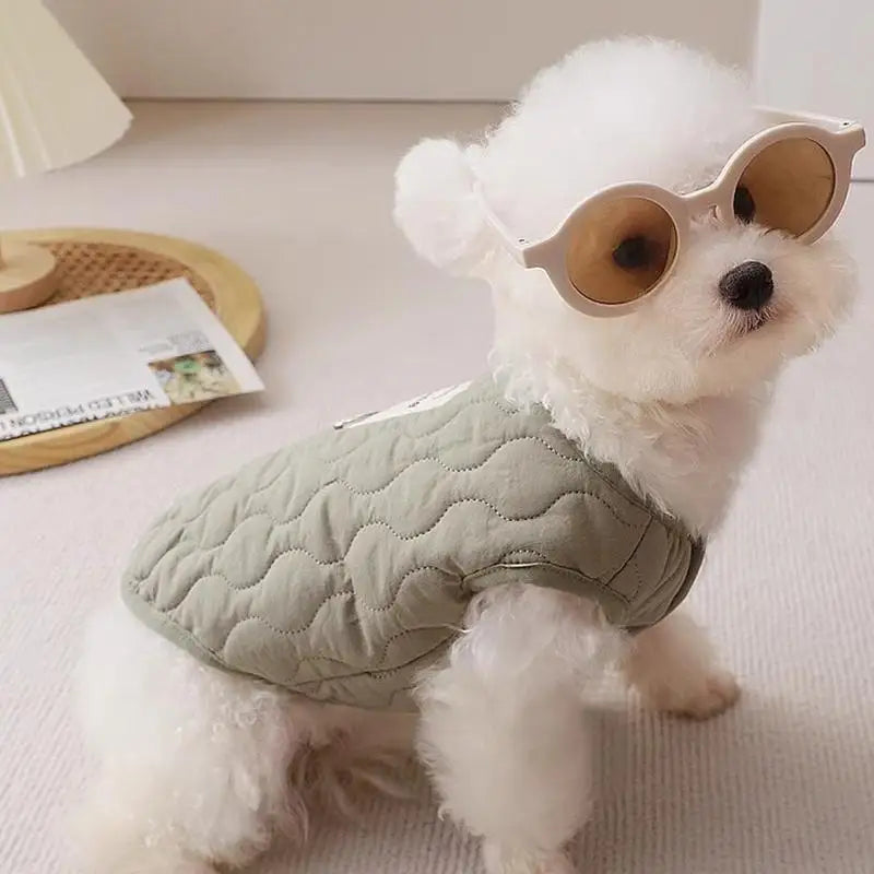 Winter Pet Coat Clothes for Cold Weather Clothing Warm Dog Clothes with Built in Harness Hole Pet Apparel for Small Dogs Cats